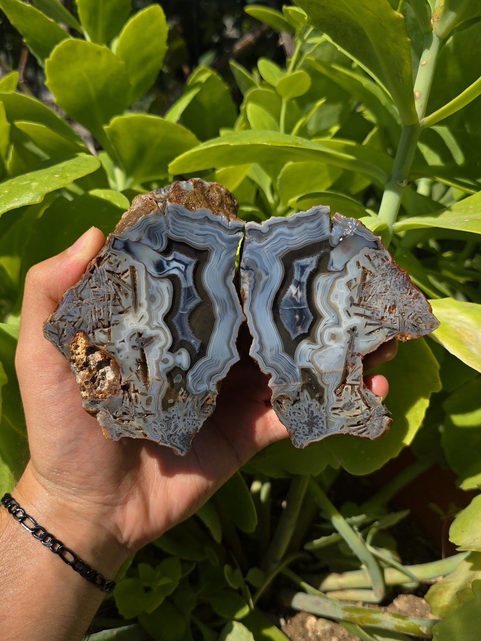 Blue Banded and Sagenite Agate, Fortification Agate, Rocks and Minerals ...