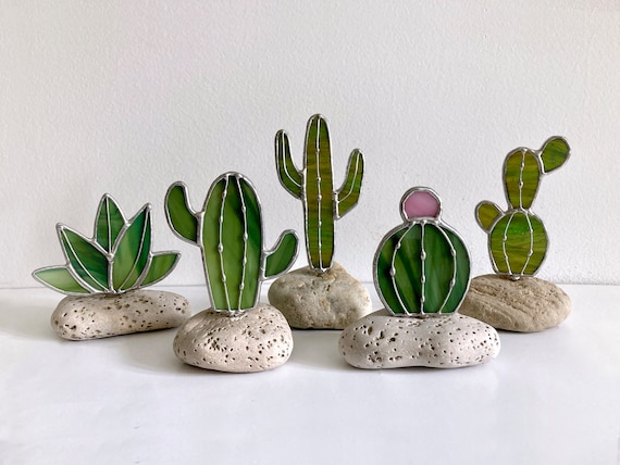 dragon cactus Dragon Fruit – Liberty Landscape Supply main image 1