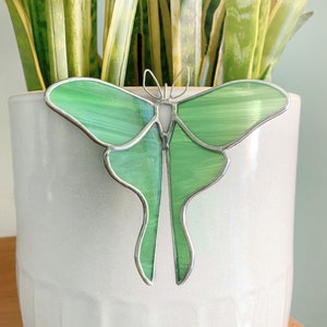 May include: A green stained glass luna moth ornament, with silver accents, is attached to a white ceramic planter.