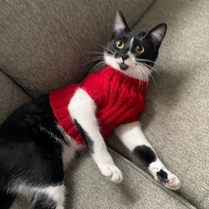 May include: A black and white cat wearing a red knitted jumper. The cat is lying on a grey sofa. The cat has yellow eyes and a surprised expression. The cat's front paws are extended.
