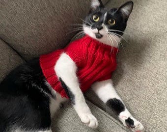 May include: A black and white cat wearing a red knitted sweater. The cat is lying on a gray couch, with its front paws extended. The cat has yellow eyes and a surprised expression.