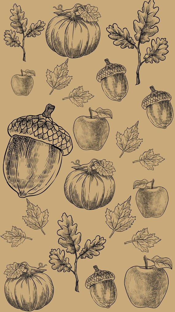 Digital Download-phone Wallpaper-acorns-fall-autumn-neutral - Etsy