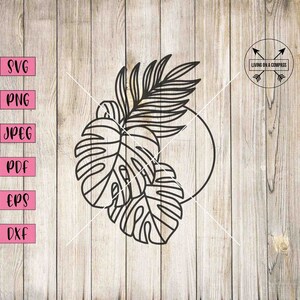 Foglie tropicali, foglie svg, tropicale svg, monstera svg, foglia tropicale svg, piante svg verde clipart, foglia png, clipart estate, dxf, eps