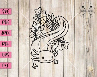 Axolotl svg, pink salamander, salamander svg, amphibian svg, amphibian clipart, salamander clipart, animal svg, animal clipart, cricut, png
