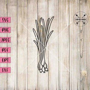 Cebollino svg, cebollino png, cebollino clipart, marcadores de huerto, letreros de huerto, vegetales svg, archivo cortado de cebollino, calcomanía de cebollino, dxf