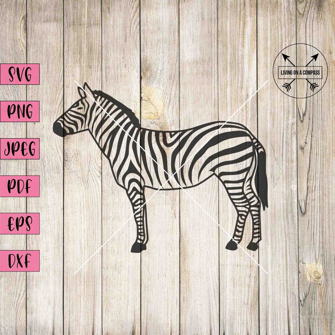 Zebra svg invitación de cumpleaños de cebra imágenes - Etsy México