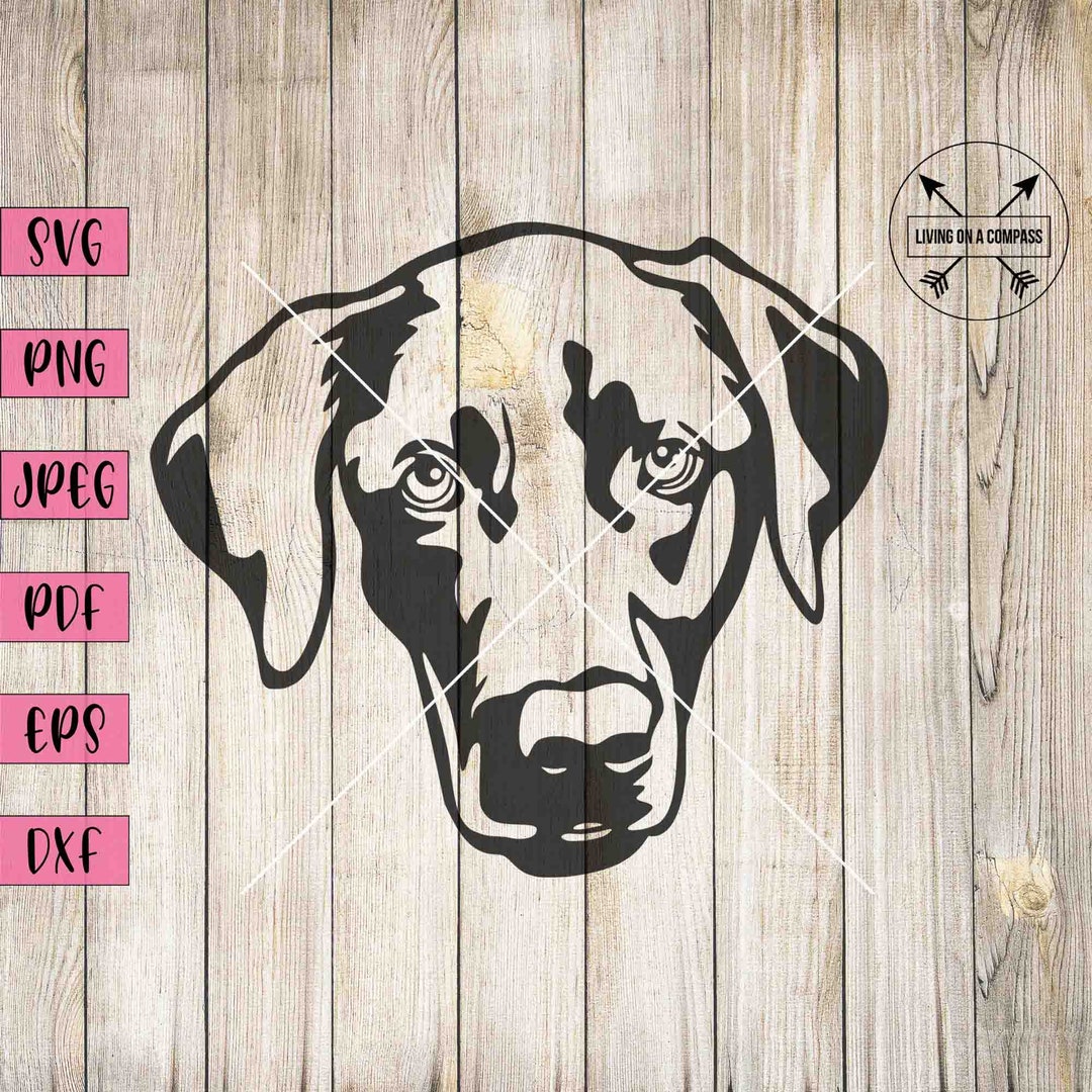Australian Shepherd Lab Svg, Labrador Svg, Australian Shepherd Svg, Dog ...