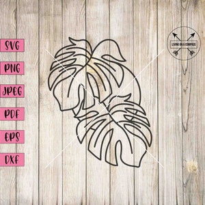 Tropische Blätter, Blätter svg, tropische svg, Monstera svg, tropisches Blatt svg, Pflanzen svg grün Clipart, Bananenblatt Wallpaper, Blatt png
