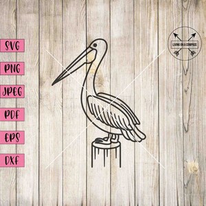 Pelican svg, pellicano png, pellicano clip art, pelican decalcomania, uccello svg, uccello clipart, uccello artwork, uccello vettore, uccelli svg, uccelli clip art, png