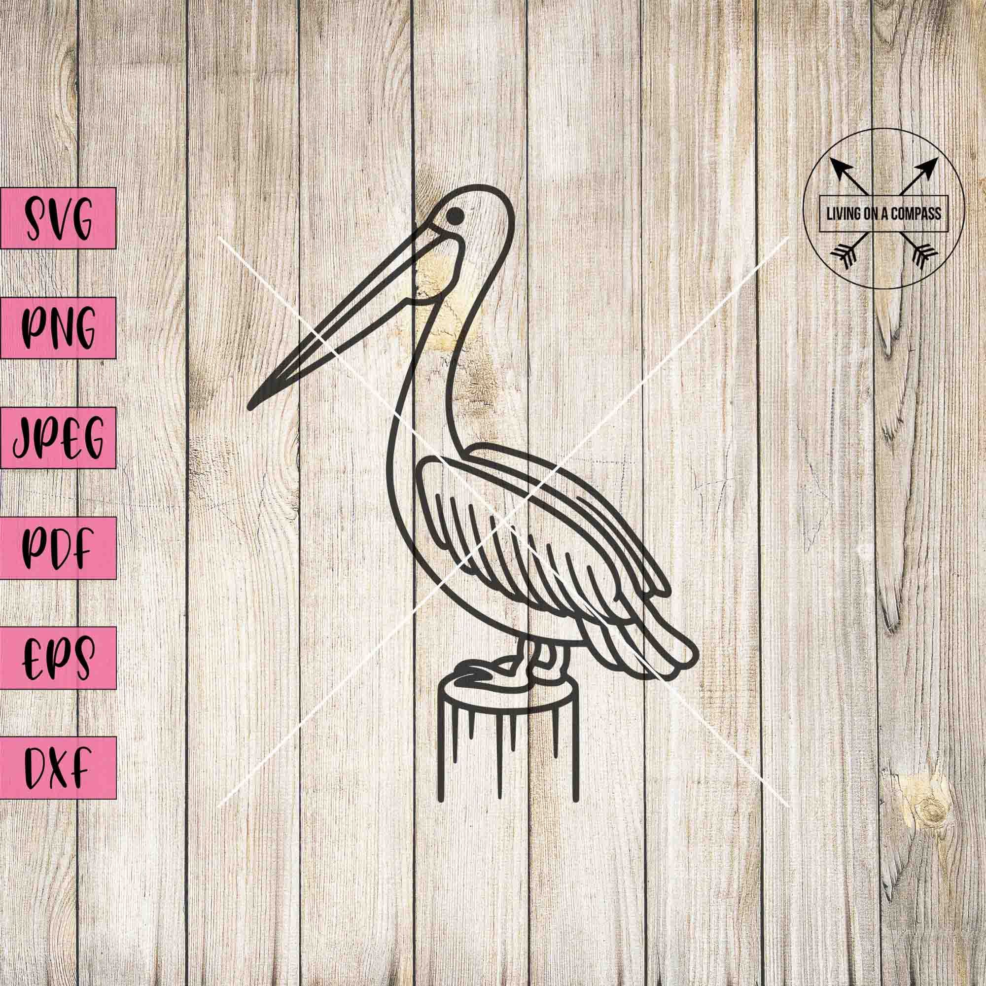 Pelican Svg, Pelican Png, Pelican Clip Art, Pelican Decal, Bird Svg