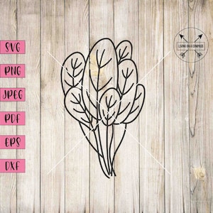 Spinach svg, spinach clipart, vegetables png, fruits vegetables, vegetables png, vegetable printables, vegetable print, vegetable clipart