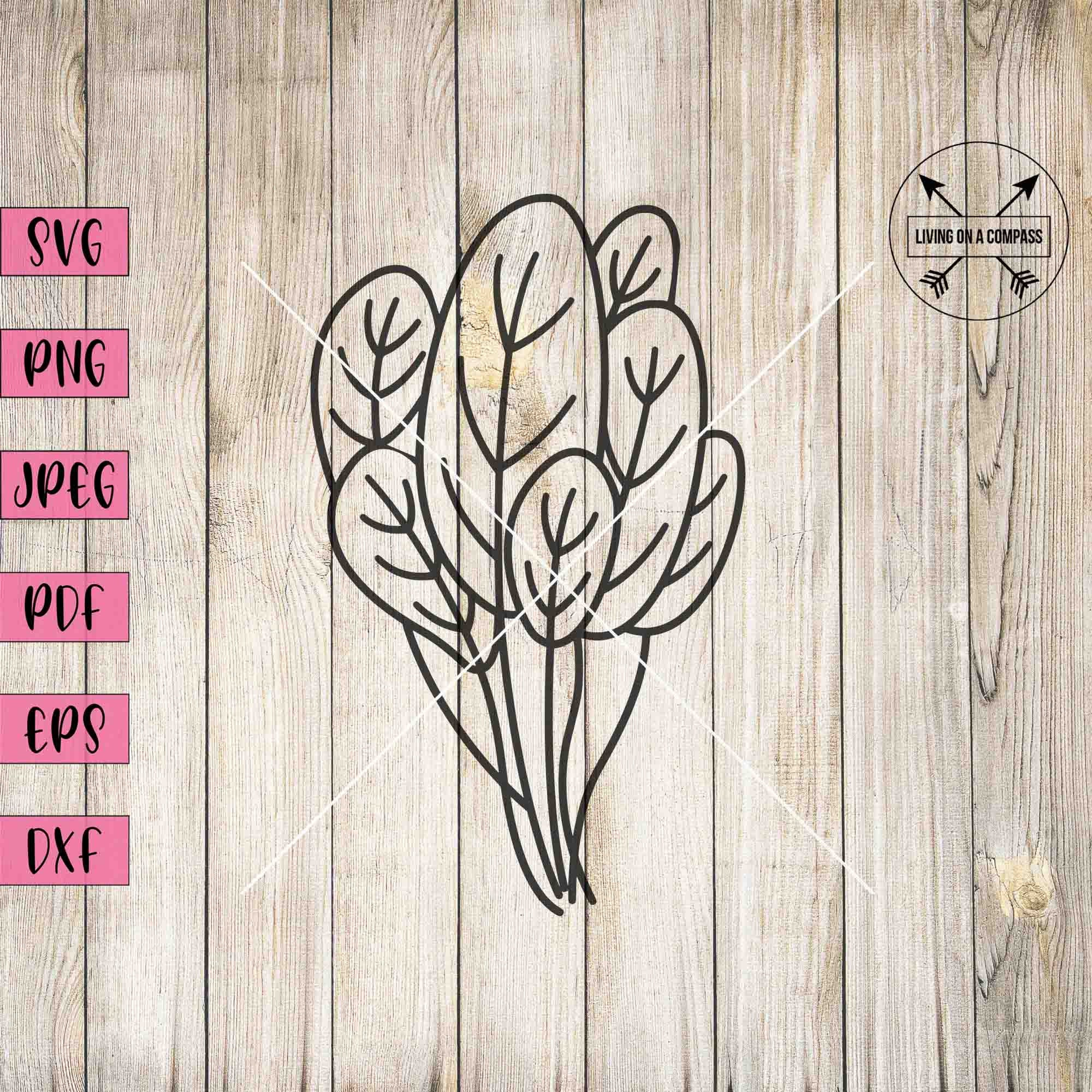 Esquejes de espinaca - Etsy México, image size:2000x2000