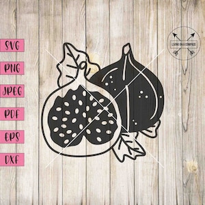 Fig svg, fig fruit, fig line drawing, fig art, fig plant, fig tree decor, fig shirt, christmas figs, thanksgiving printable, png, clipart