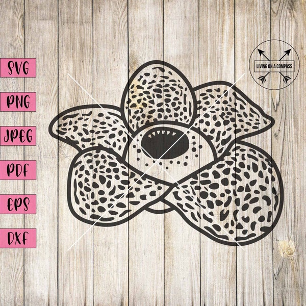 Rafflesia flower svg, tropical flower clipart, tropical flower clip art, tropical flower prints, tropical planner stickers, flower clipart