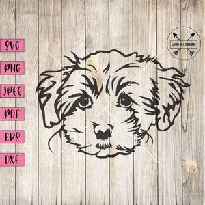 Peut inclure: Illustration en noir et blanc d'une tête de chien. Le chien a un pelage bouclé et duveteux et de grands yeux ronds.