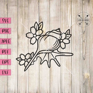 Seashell svg, seashell flowers, seashell clipart, seashell decor, shell svg, shell png, under the sea clipart, beach svg, beach clipart, png
