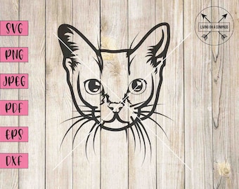 Singapura gatto svg, gatto svg, gatto carino svg, faccia di gatto svg, clipart faccia di gatto, gattino svg, gattino clipart, gattino svg, clipart per animali domestici, silhouette di gatto