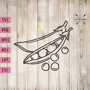 Puede incluir: Un dibujo en blanco y negro de una vaina de guisantes con guisantes dentro. La vaina está abierta y hay tres guisantes fuera de la vaina.