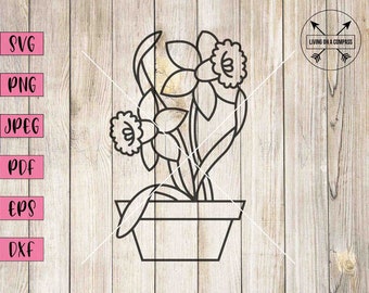 May include: Line art drawing of a potted plant with two daffodils. The plant is in a simple pot with a rounded bottom. The daffodils have six petals each and are facing outward.