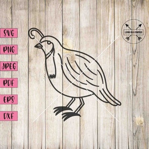 Quail svg, quail clipart, quail bird, bird svg, bird clipart, bird vector, birds svg, birds clipart, animal svg, animal clipart, cricut, dxf