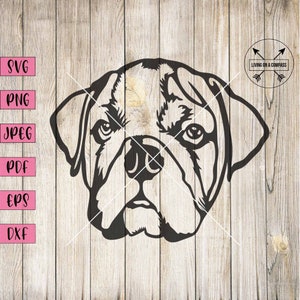 Valley bulldog svg, dog svg, dog svg files, bulldog art, bulldog sticker, bulldog stickers, bulldog decal, dog png, dog pdf, dog decal, svg