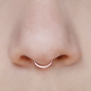 Fake Id And A Nose Ring