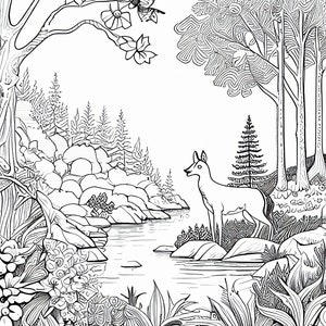 Op de afbeelding: Een zwart-witte lijntekening van een hert dat aan een rivier in een bos staat. Het hert kijkt naar links in de afbeelding. Er zijn bomen en rotsen op de achtergrond.