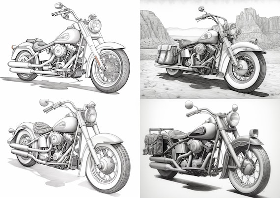 洋書 ART OF THE HARLEY-DAVIDSON MOTORCYCLE Chopper Motorcycle Harley Davidson American Flag DTF