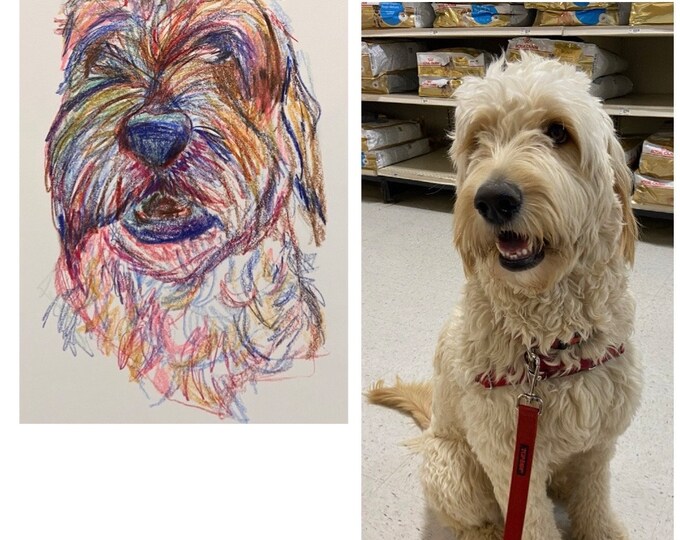 CUSTOM PET PORTRAIT- Custom Original Colored Pencil Pet Portraits, Custom Dog Gifts, Commissioned Pet Drawings, Custom Pet Art