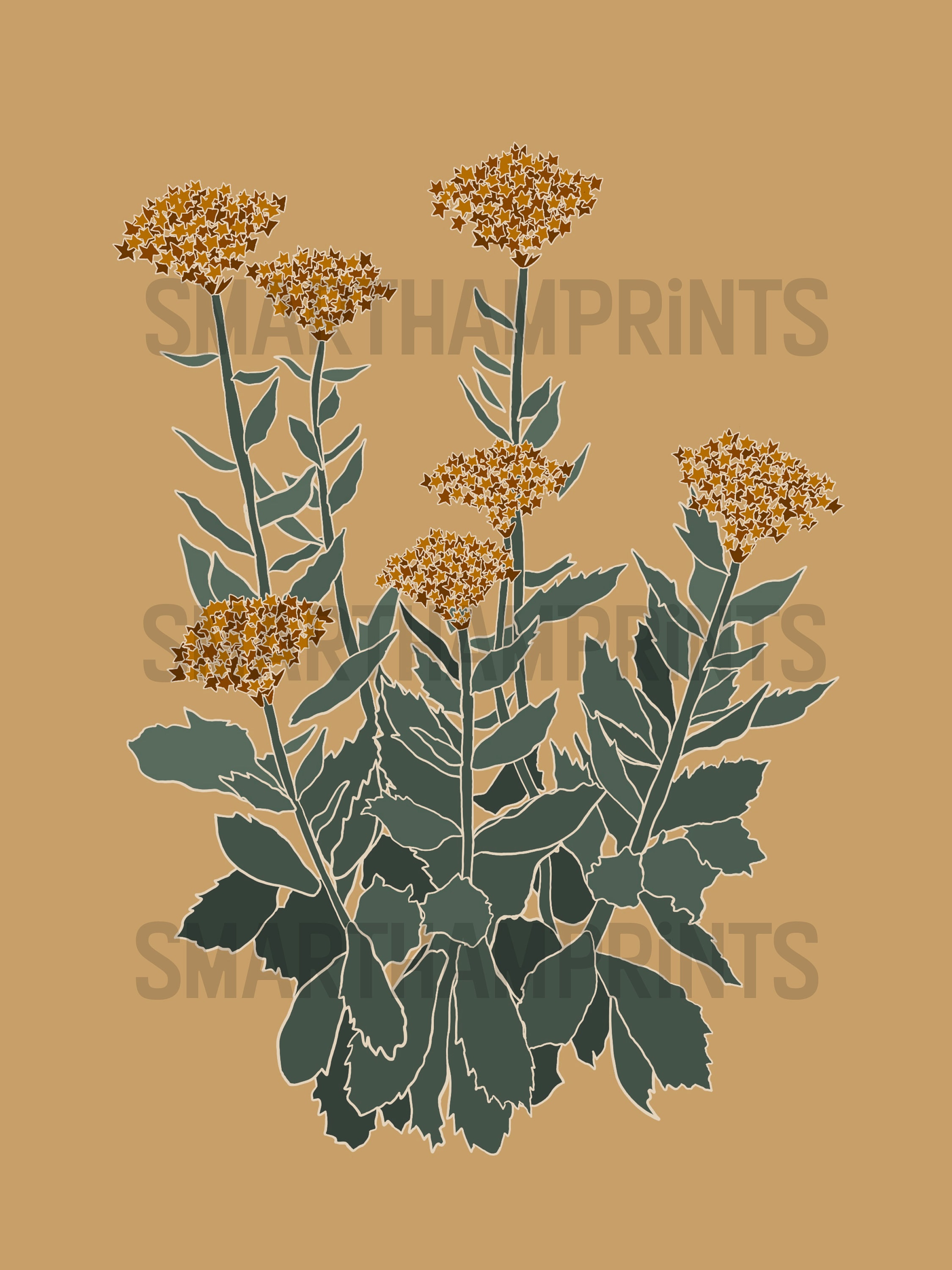 Flowers Printable Wall Art, Digital Download, Floral Modern Line Art - Etsy