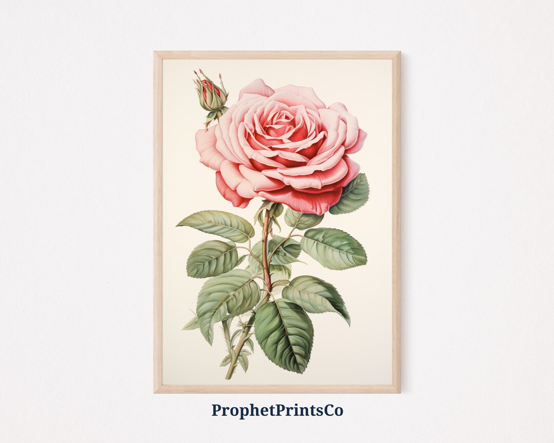 Vintage Rose Poster Print | Botanical Wall Art | Boho Floral Painting ...