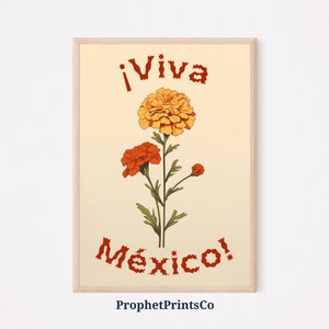 Viva Mexico Mexican Wall Art | Latino Wall Art | Aesthetic Mexico Poster | Mexican Exhibition Art | Printable Wall Art | Digital Download