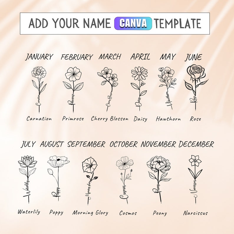 Birth Flower png Bundle