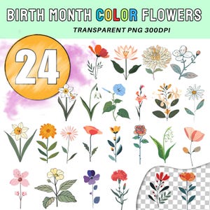 Birth Month Flowers Clipart SVG Birthmonth Flower SVG Bundle Watercolor Flower Clipart Transparent PNG Bithmonth Flower + Commercial Licence