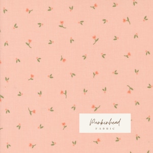 Flower Girl Picked Ditsy Daisy Blush 31732 16 by Heather Briggs My Sew Quilty Life Moda White Pink Green Floral Cotton Quilting Fabric