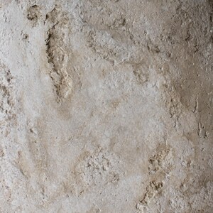 May include: Close-up of a textured, light beige surface. The surface has a rough, uneven texture with areas of raised and recessed detail. The colour is a warm, neutral tone, with subtle variations in shade. The overall appearance suggests a natural material.
