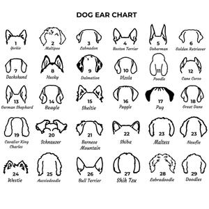 May include: A black and white chart with illustrations of different dog breeds. Each breed is numbered and labeled with its name. The chart is titled "Dog Ear Chart".