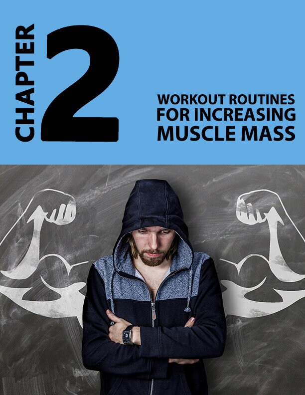 Power Mass Blueprint E-book Digital Download PDF - Etsy
