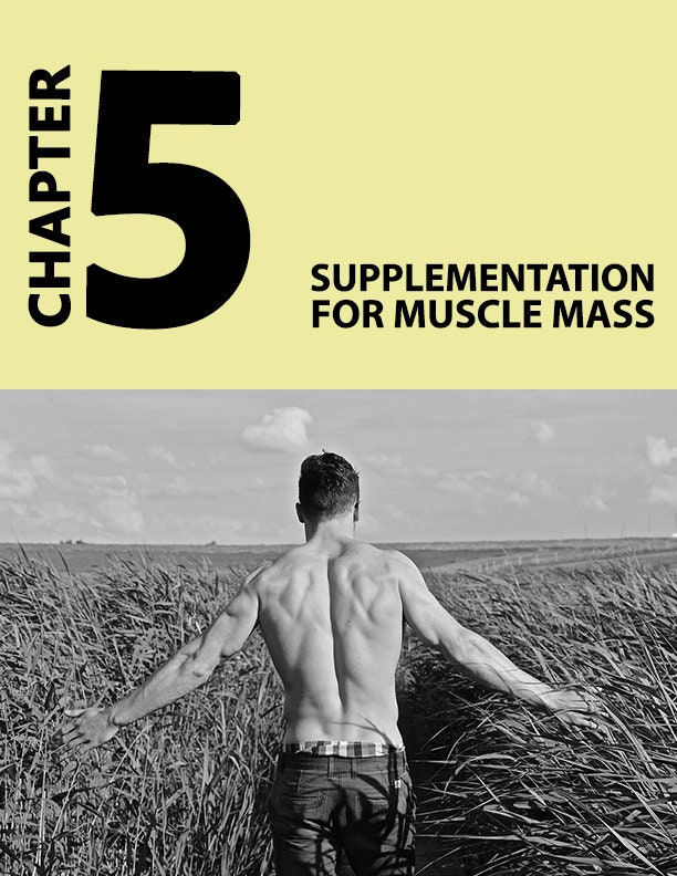 Power Mass Blueprint E-book Digital Download PDF - Etsy