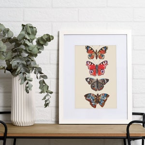 Butterfly Art Print, Moth Art Print, Butterfly Wall Art
