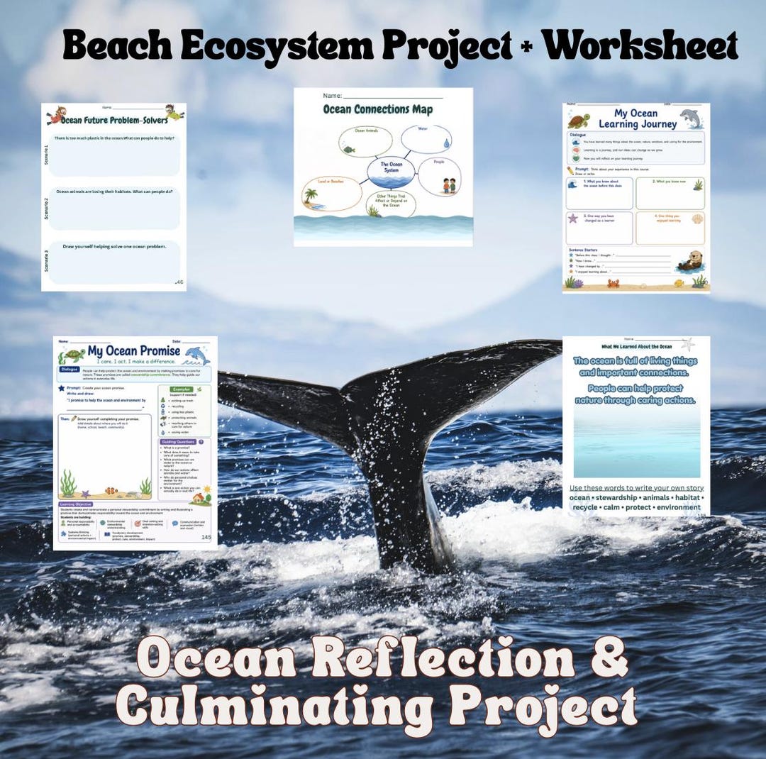 Ocean Reflection Project for Kids | Beach Ecosystem Culminating ...