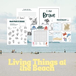 Op de afbeelding: Een verzameling educatieve activiteitenbladen met oceaanthema's, waaronder een woordzoeker, kleurplaten en invuloefeningen. De bladen bevatten illustraties van het zeeleven en de tekst "I AM Brave" en "Living Things at the Beach."