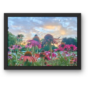 Wildflower Meadow Wall Art, Nature Digital Download, Flower Digital Print