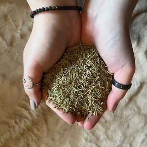Rosemary Herb (2oz) - Dried Herbs - Purification Herb - Wicca -