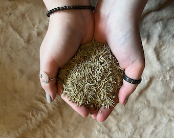 Könnte beinhalten: Eine Handvoll getrockneter Rosmarinnadeln, ein beliebtes Kraut, das zum Kochen und für seine medizinischen Eigenschaften verwendet wird.