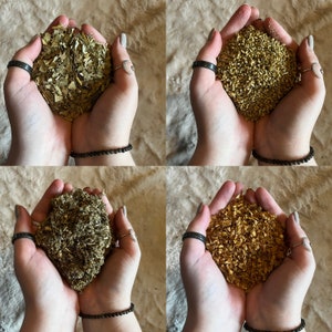 May include: Four hands holding different types of dried herbs. The herbs are in various shades of green, yellow, and brown.