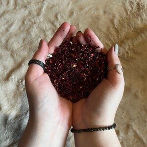Dried Hibiscus Flower Herb (2oz) - Love Herb - Wicca - Dried Herbs -