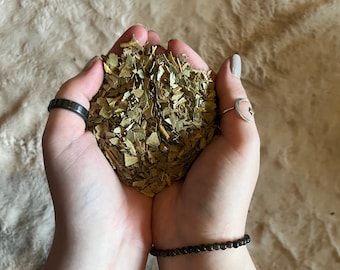 Eucalyptus Herb (2oz) - Dried Herbs - Healing Herb - Cleansing Herb - Witch - Wicca -