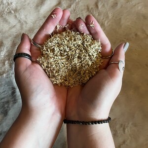 May include: A person's hands holding a pile of dried, light brown, shredded herbs.