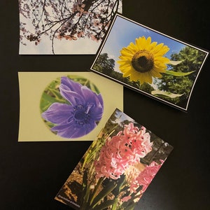 Set di cartoline floreali / 4 x 6 cartoline / cartoline naturalistiche